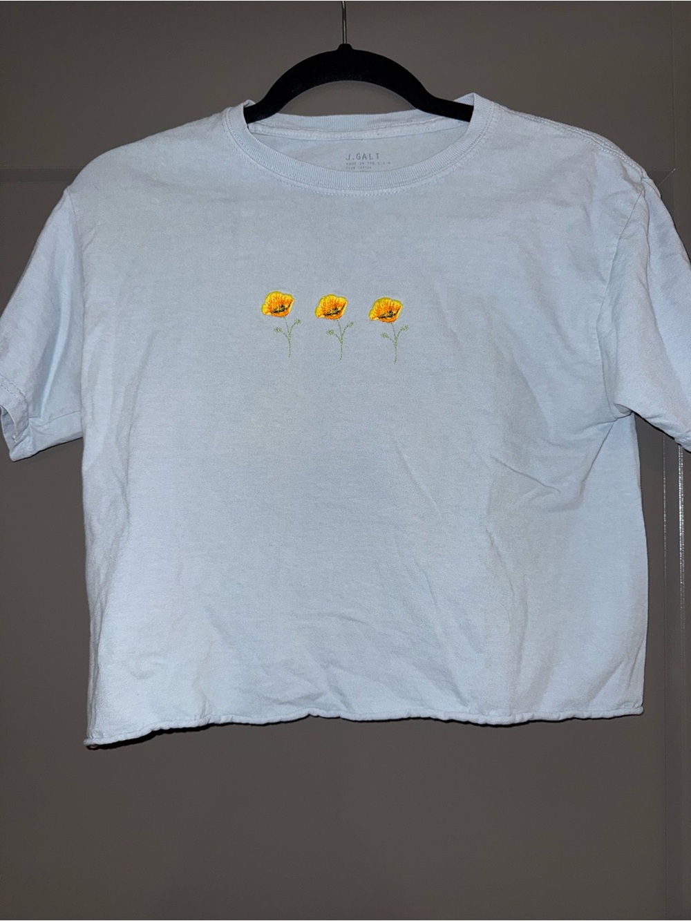 Brandy Melville Blue Cropped Poppy Tee